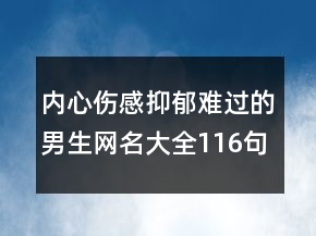 内心伤感抑郁难过的男生网名大全116句
