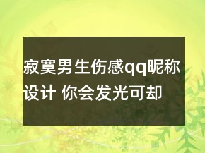 寂寞男生伤感qq昵称设计 你会发光可却刺痛了我159句