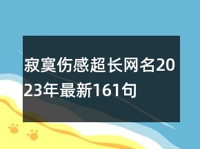寂寞伤感超长网名2023年最新161句