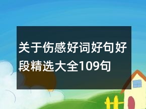 关于伤感好词好句好段精选大全109句