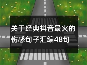 关于经典抖音最火的伤感句子汇编48句大全68句