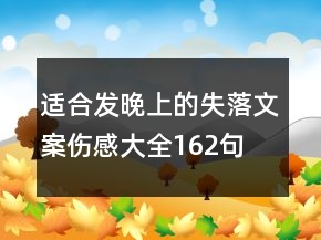 适合发晚上的失落文案伤感大全162句