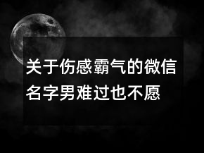 关于伤感霸气的微信名字男难过也不愿放手88句