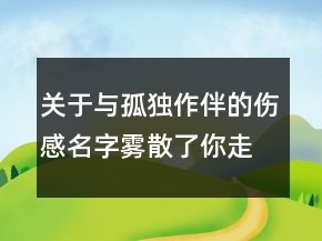 关于与孤独作伴的伤感名字雾散了你走了115句