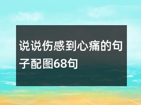 说说伤感到心痛的句子配图68句