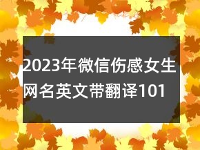 2023年微信伤感女生网名英文带翻译101句