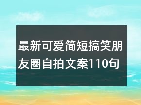 最新可爱简短搞笑朋友圈自拍文案110句