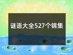 谜语大全527个锦集